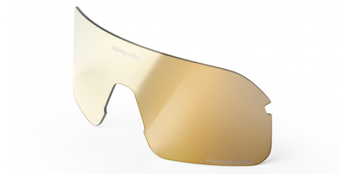 LENTE ORO FOTOCROMATICA